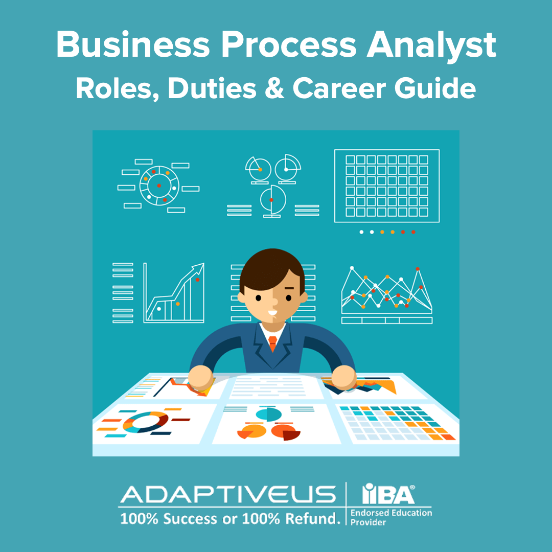Category Analyst Role, Responsibilities, and Career Path